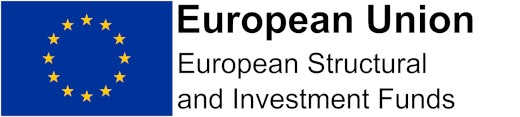 European Union logo for footer